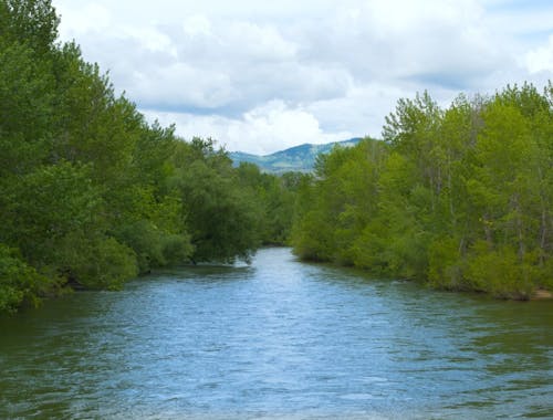 The Boise River Greenbelt.